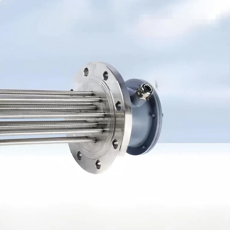flange immersion heater 9